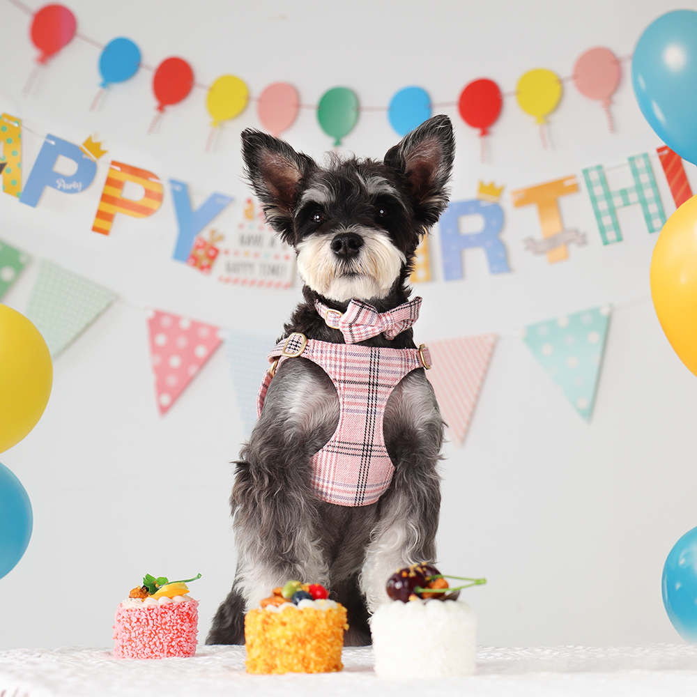 3pcs/set Dog Collar Harness le - đánh giá và giá Christmas Throw Blanket